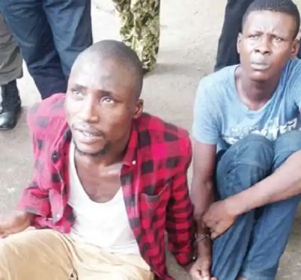 We Are Conductors By Day, Robbers By Night – Suspect